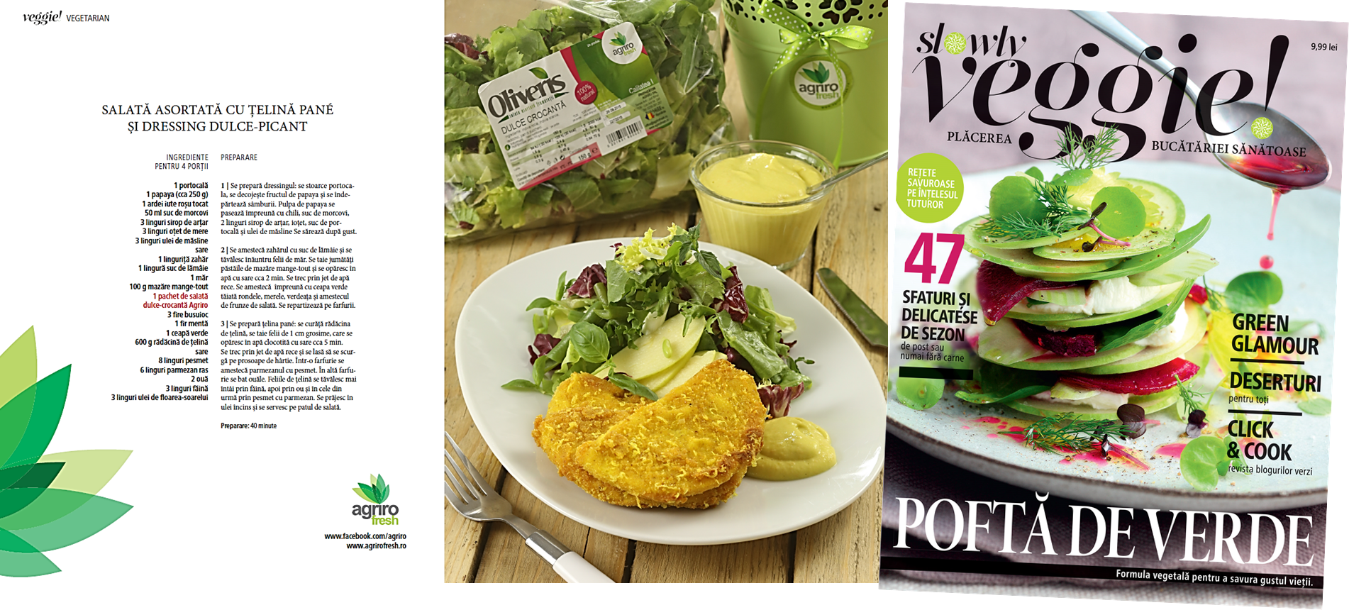 Proiect Revista Slowly Veggie