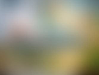 Medicine to Help: A Functional Approach to Healing