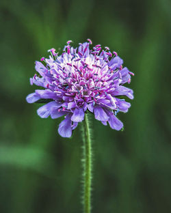 0F2FB8F5-AFB4-41A6-ABDD-14531AFC0797