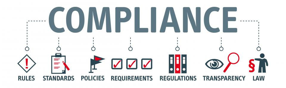 Precision in Compliance: A Global Regulatory Journey through the MDR Lens