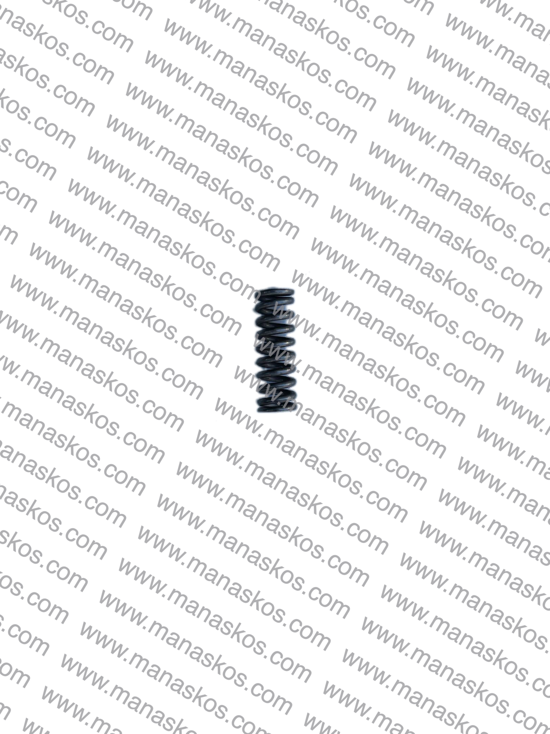 ΕΛΑΤΗΡΙΟ ΦΟΥΡΚΕΤΑΣ ΚΑΙ ΑΡΓΟ ΓΡΗΓΟΡΟ BELARUS