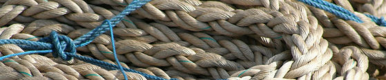 maxi-flex-banner (1).jpg