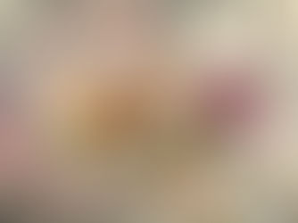 Siesta Key & Sarasota Sandbar Shelling 