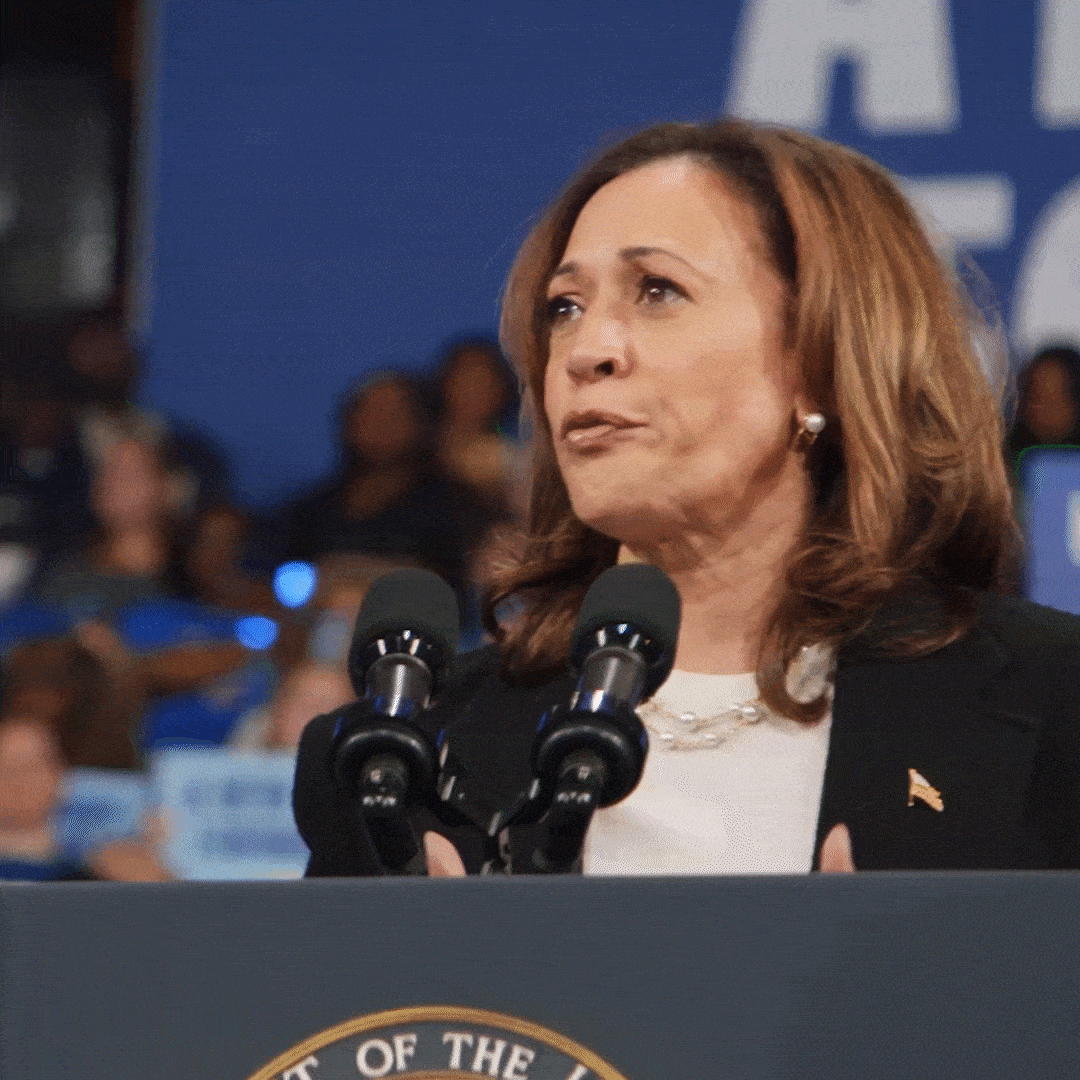 from the courthouse-min.gif