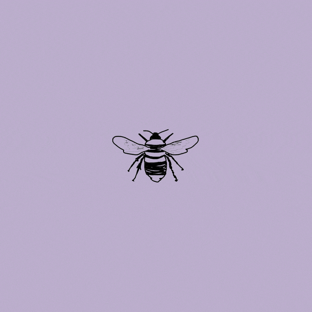 the visiting lab, nyu.gif