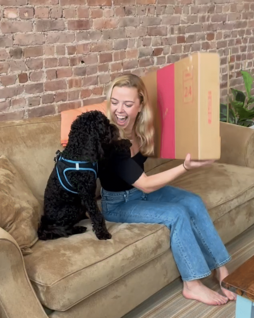 kate-box.gif