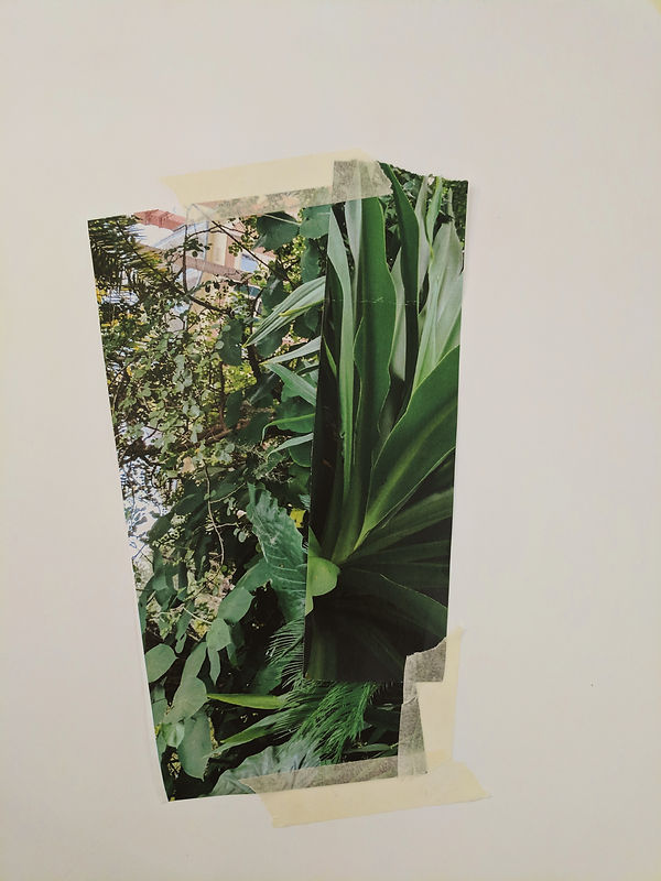 2017-10-18 12.22.19 1.jpg