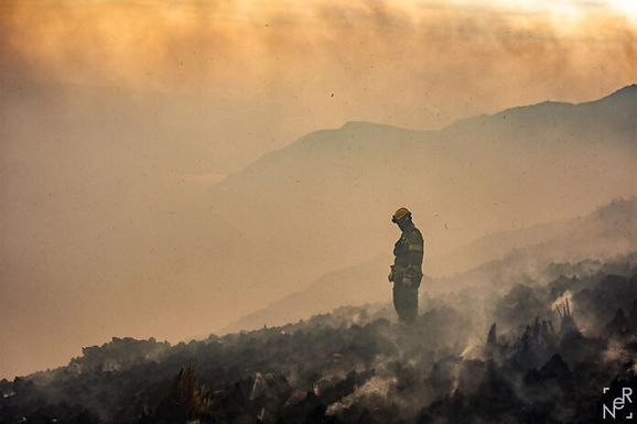 El fuego pone en peligro la reserva de monos carayá