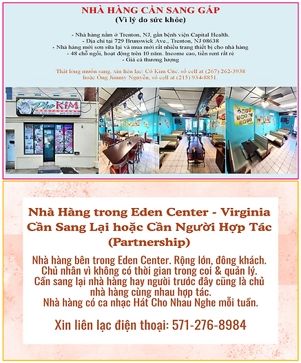 5BTuongViVA81326.png