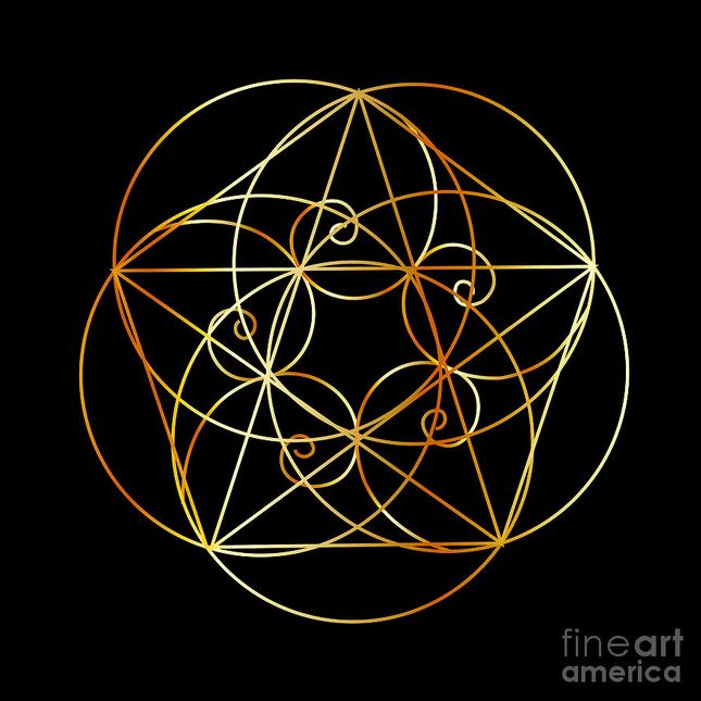 fibonacci spiral 4.gif