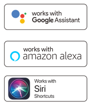 Assintentes de Voz .png