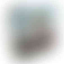 Kiwi Chow Down | Tablero Ninja | Board Games