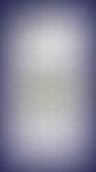 Tiburón | Tablero Ninja | Board Games