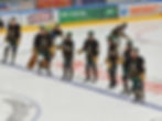 HC Maustadt