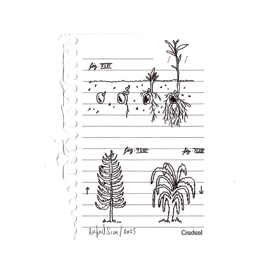 Miniatura: Original Caderninho | 12