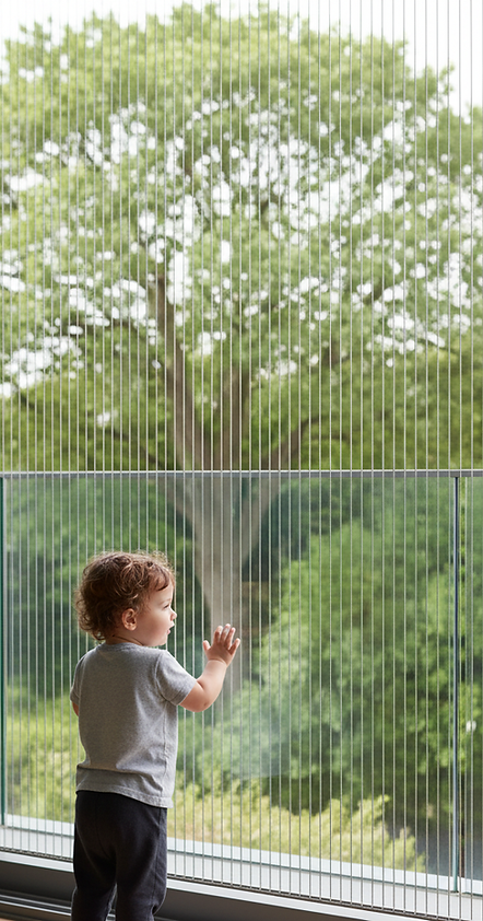 why divya sri grills