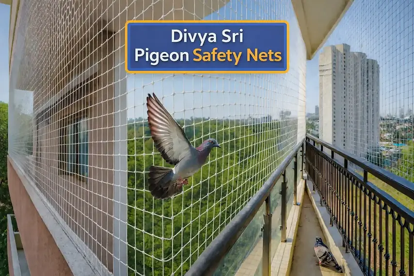 Pigeon net installation done by nagavara