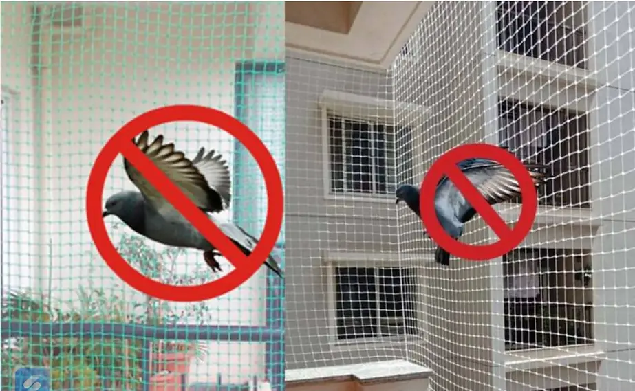 pigeon-net-installation hennur