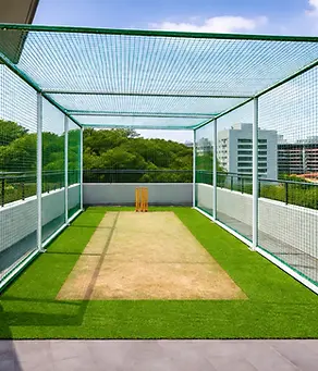 cricket_practice_net.webp