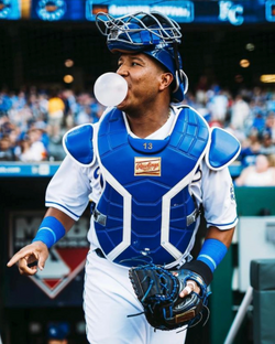 Salvador Perez