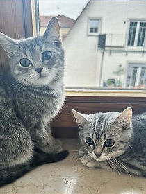 Minou & Sheela_edited_edited.jpg