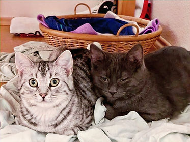 Paul & Paula_edited.jpg