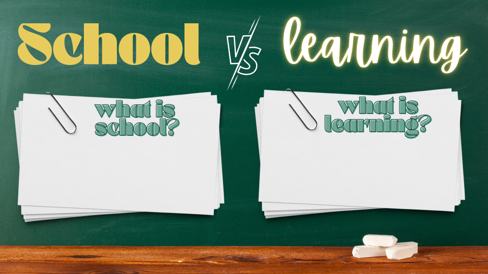 Thumbnail: What is School For?