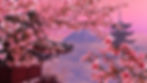 cherry-blossom-10.jpeg