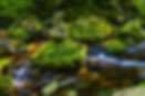 pexels-felixmittermeier-957987.jpg