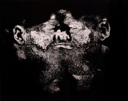 ׳מגע ישיר׳ 2024 הדפס כסף, ינון כלפון.