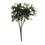 Thumbnail: White Miniature Rose Stem