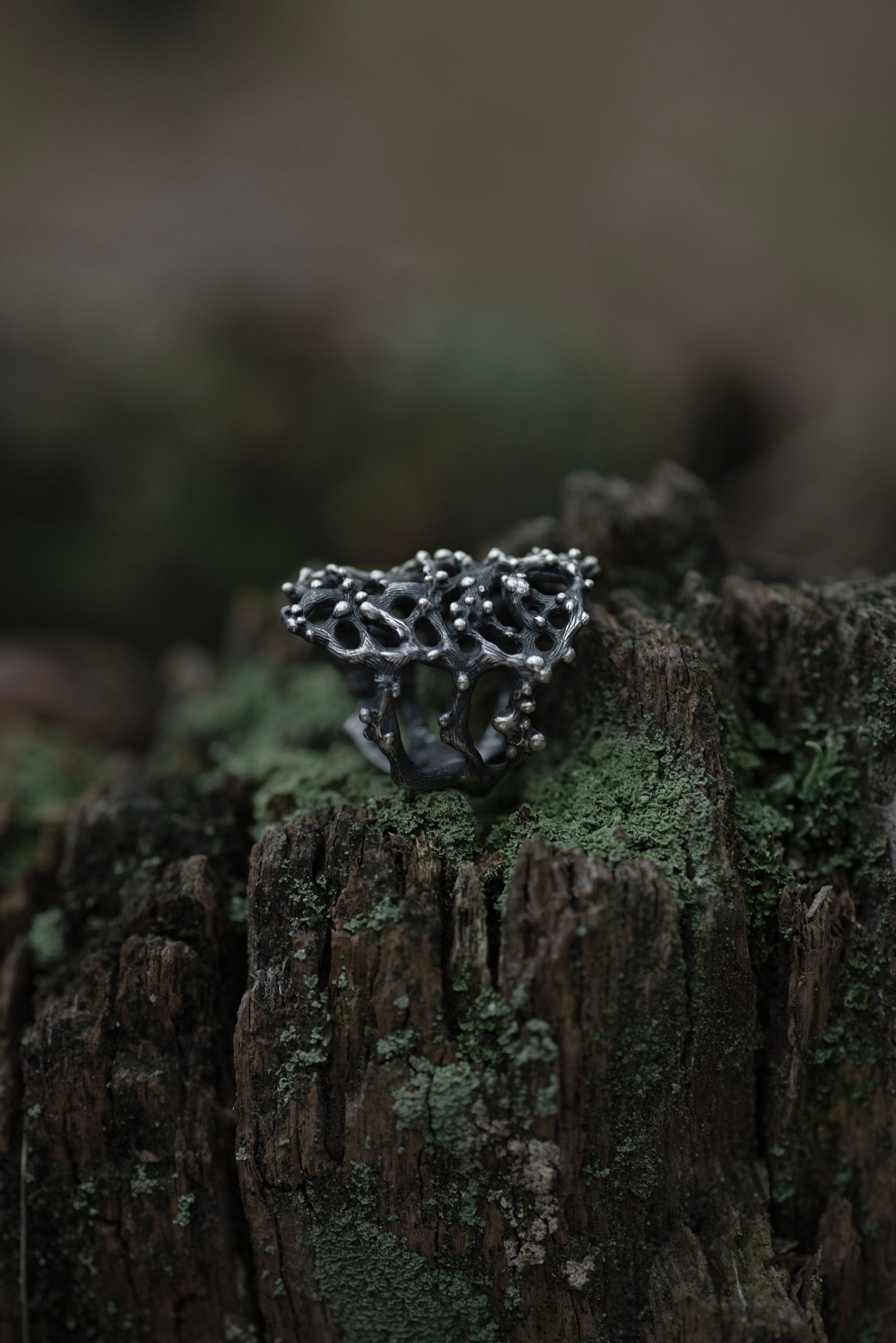 Woven branches artifact. Unique ring.