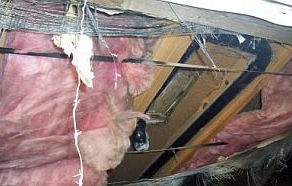 Emerging Vapor Barrier Damage Signs Florida Homeowners Are Facing in 2025