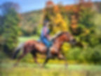 Deb Horse riding.jpg