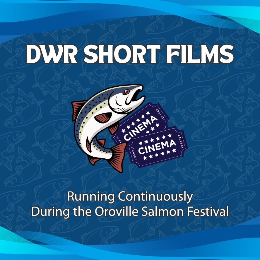 DWR Short Films during Salmon Festival