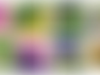 Bee School, Modules 5 & 6: From Frustration to Fascination - Oct 19, 2025