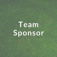 Presenting Sponsor (5).png