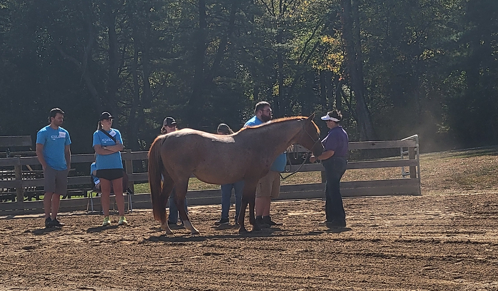C U Lead 2024 Ginny coaching Cropped.png