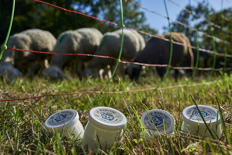 DSC6539-e1582729265750