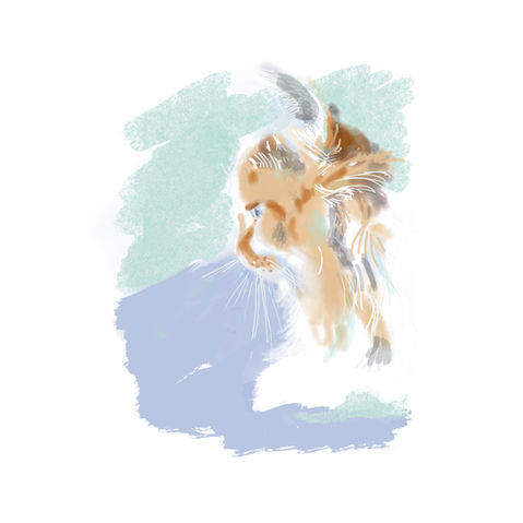 aquarelle chat blanc et roux