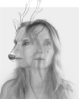 Capture d’écran 2025-06-10 à 13.21.49.png