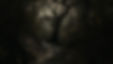 mysterious-forest-path-with-gnarled-tree-at-dusk-photo.jpg