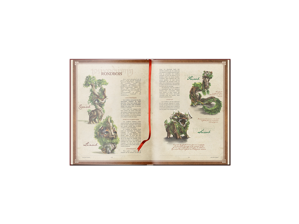 Miniature : BESTIAIRE FANTASTIQUE, VOL I : Mes Premiers Voyages