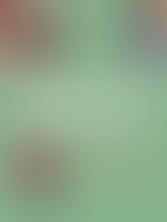 Review: And Now the Light is Everywhere by L.A. MacRae