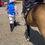 Thumbnail: Racing Silks Bright Royal Blue & Lavender with Anchors