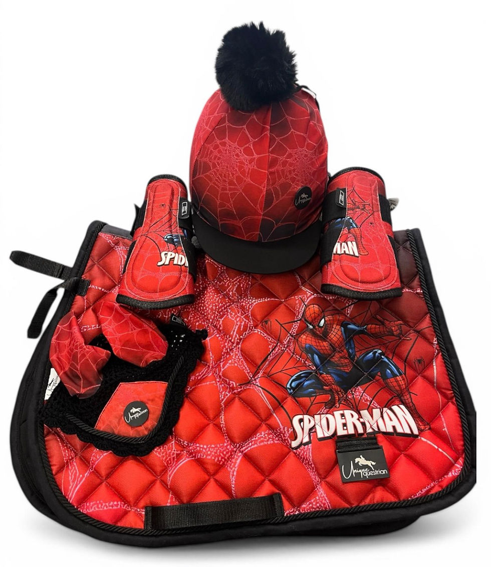Thumbnail: Children's Spider Man Design Horse Riding Sets