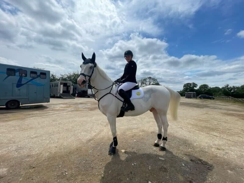 Adult Competition White Riding Tights -Not see through