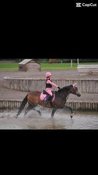 Thumbnail: Personalised Coral Peach Saddle Pad Set