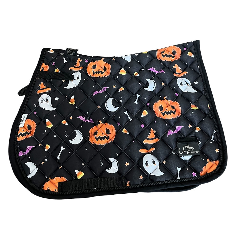 Thumbnail: Kids & Adults Halloween Pony Saddle Pad Set
