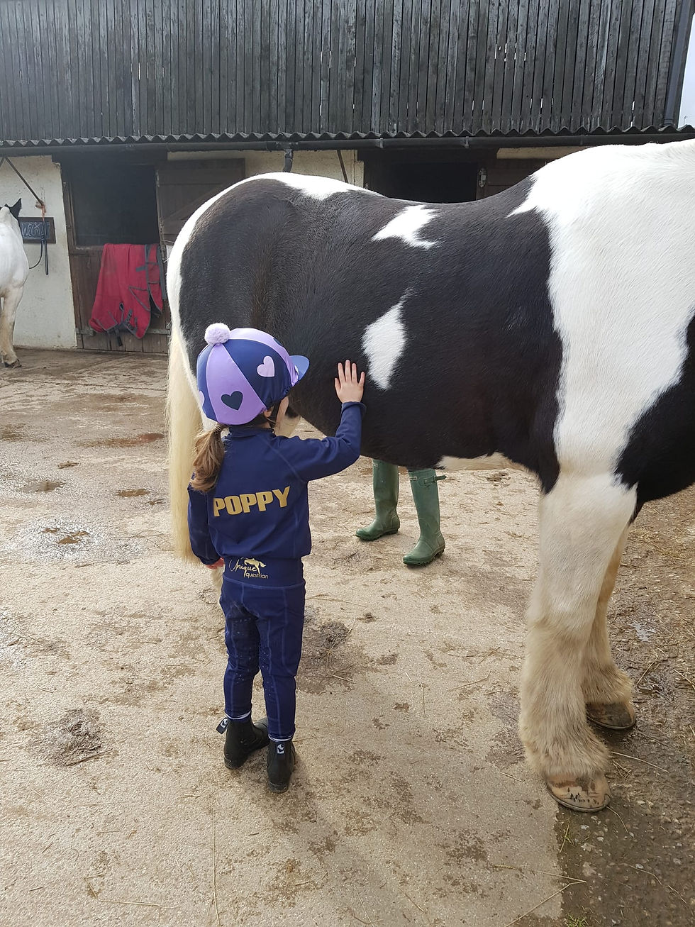 Thumbnail: Navy Riding Tights  